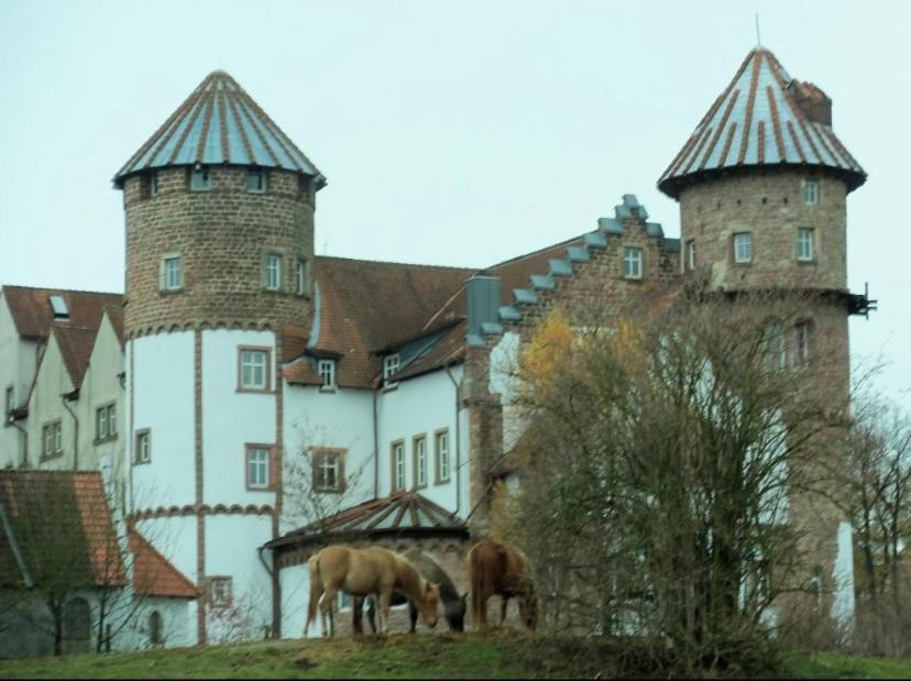 Luxus Appartement Im Schloss Fockelberg Экстерьер фото